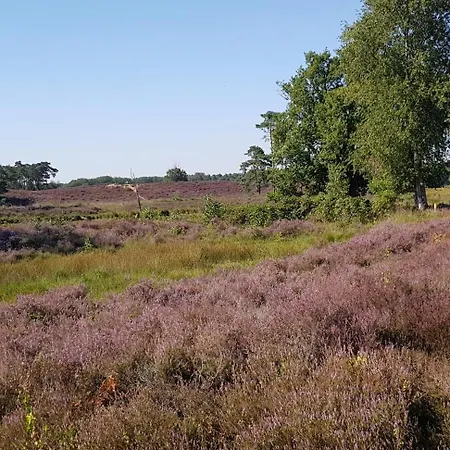 Bed and Breakfast De Loksheuvel Overasselt