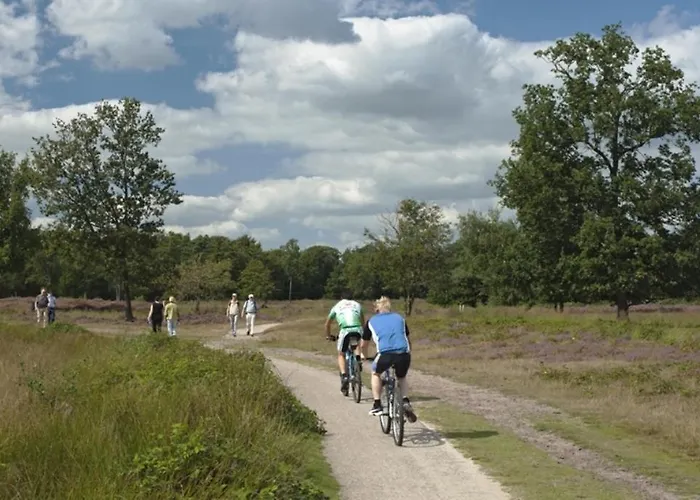 De Loksheuvel Bed & Breakfast Overasselt