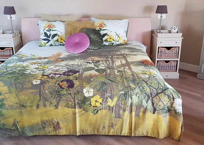 De Loksheuvel Bed & Breakfast Overasselt