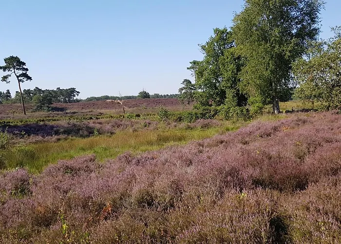 Bed & Breakfast De Loksheuvel Overasselt