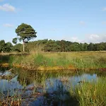 De Loksheuvel Overasselt