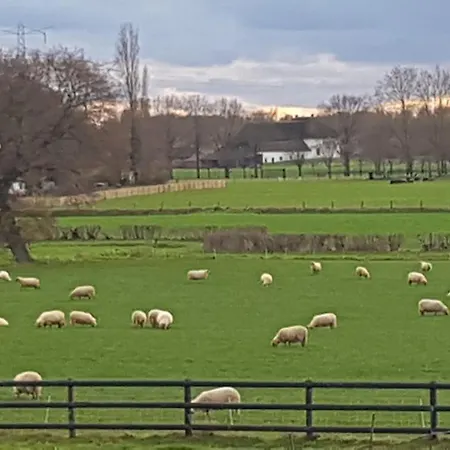 De Loksheuvel 4* Overasselt
