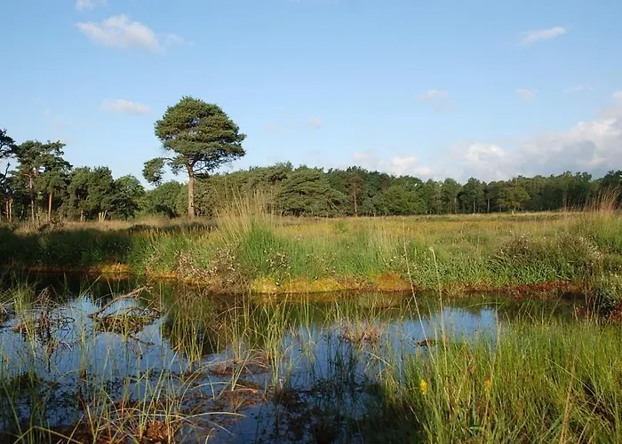 De Loksheuvel Overasselt