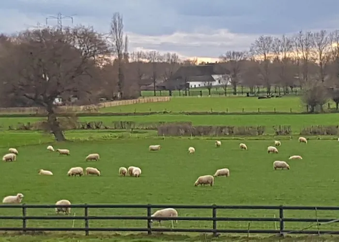De Loksheuvel 4* Overasselt